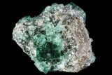 Fluorescent, Green Fluorite Crystals - Rogerley Mine #106102-1
